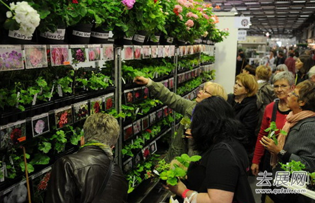 第二十三屆俄羅斯國際花卉植物及觀賞園藝展昨日舉行