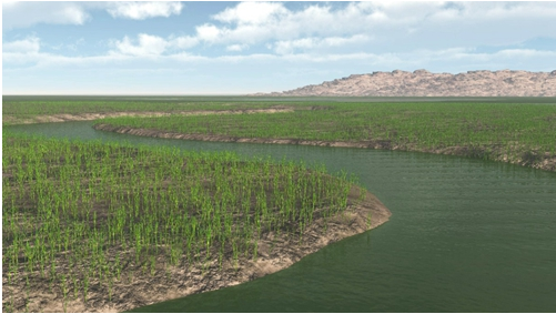 早期維管植物的成土作用