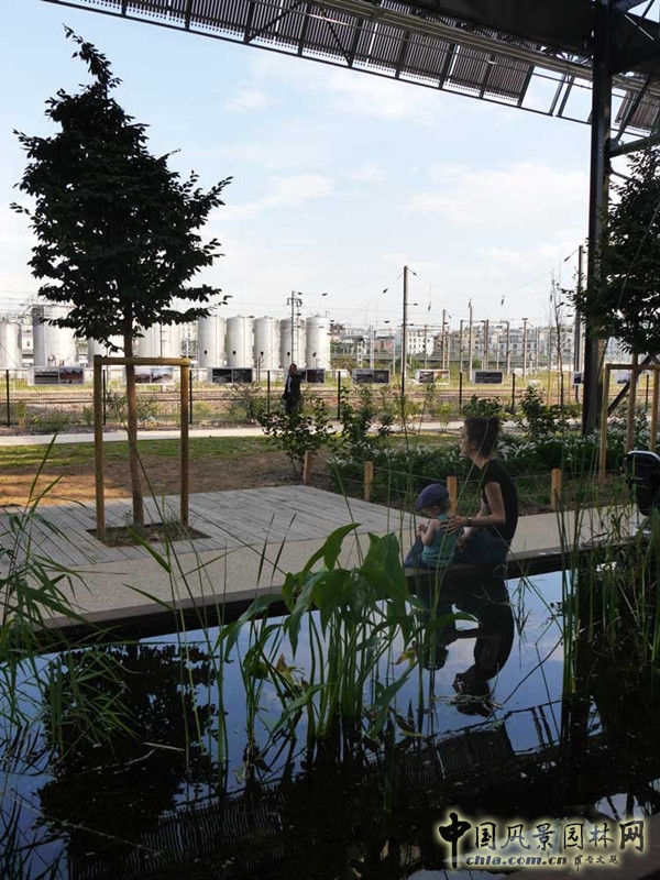 8月31日頭條：羅莎盧森堡花園項目賞析