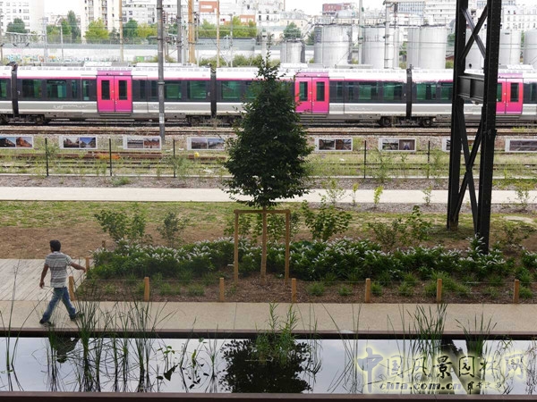 8月31日頭條：羅莎盧森堡花園項目賞析
