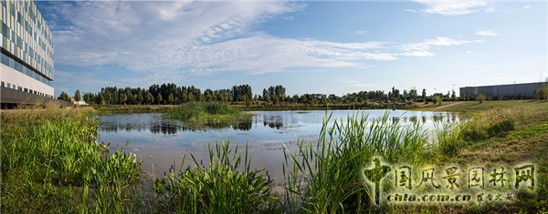 【8月30日頭條】泰利公園景觀設計賞析(多圖)