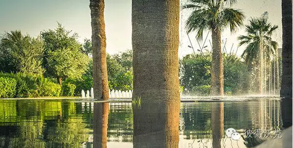 科威特憲法公園景觀設計