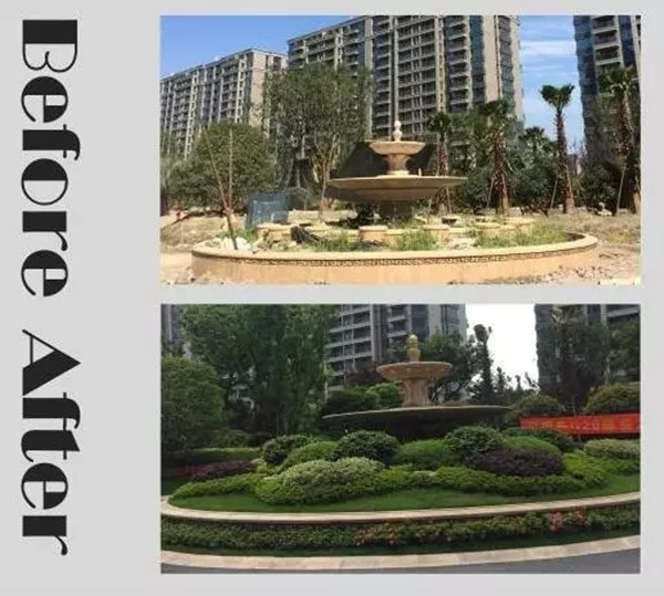 【棕櫚工程】杭州濱江金色黎明清涼夏日小筑