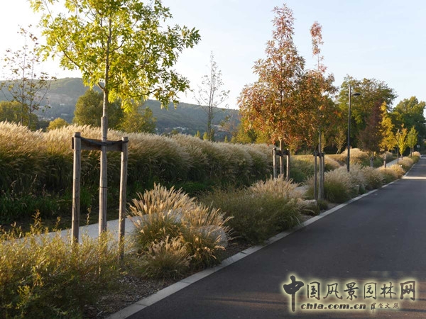 9月9日頭條：里昂索恩河Rochetaillee改造項目賞析