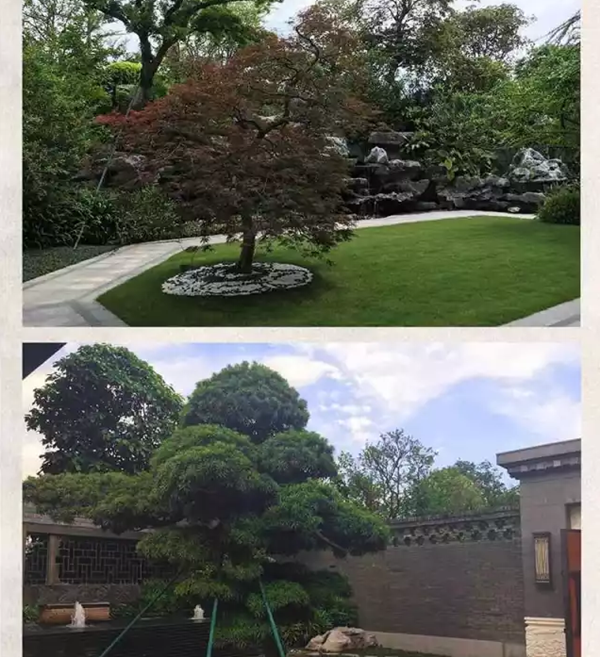 【棕櫚工程】泰禾廈門院子：中式美學的詩意空間