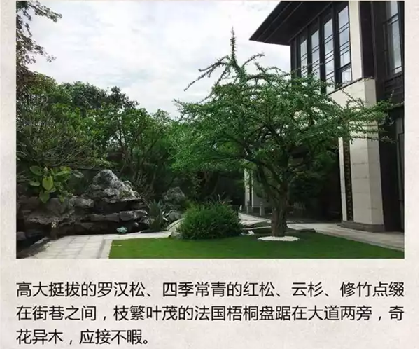【棕櫚工程】泰禾廈門院子：中式美學的詩意空間