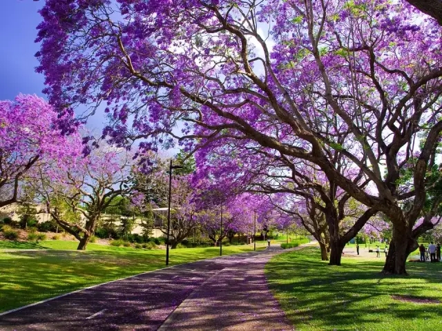 盤點(diǎn)：全球15處絕美花街