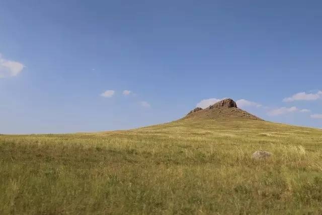 風沙中的堅強小草——蒙草生態修復顯成效