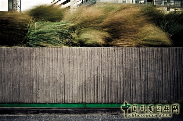 【9月13日頭條】愛爾蘭都柏林大運河廣場景觀改造