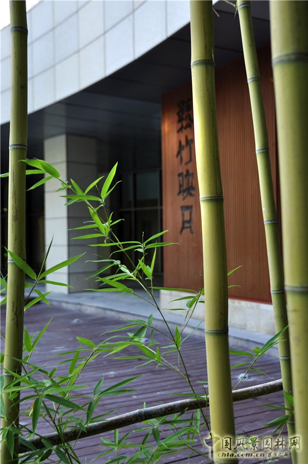 郭麗文：北大國際醫院園林的傳統文化特色