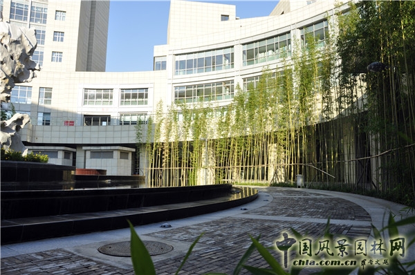 郭麗文：北大國際醫院園林的傳統文化特色