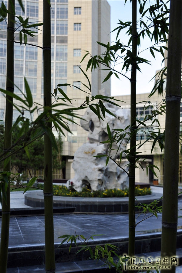 郭麗文：北大國(guó)際醫(yī)院園林的傳統(tǒng)文化特色