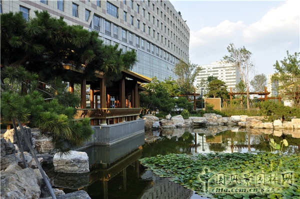 郭麗文:北大國際醫院園林的傳統文化特色