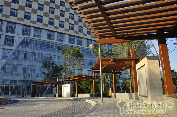 郭麗文:北大國際醫院園林的傳統文化特色