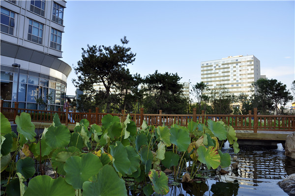 郭麗文:北大國際醫院園林的傳統文化特色