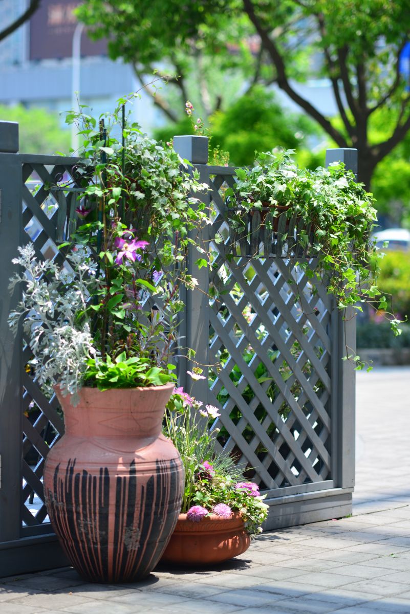 億朵園藝微花展作品榮登2016設(shè)計之都創(chuàng)意推薦榜