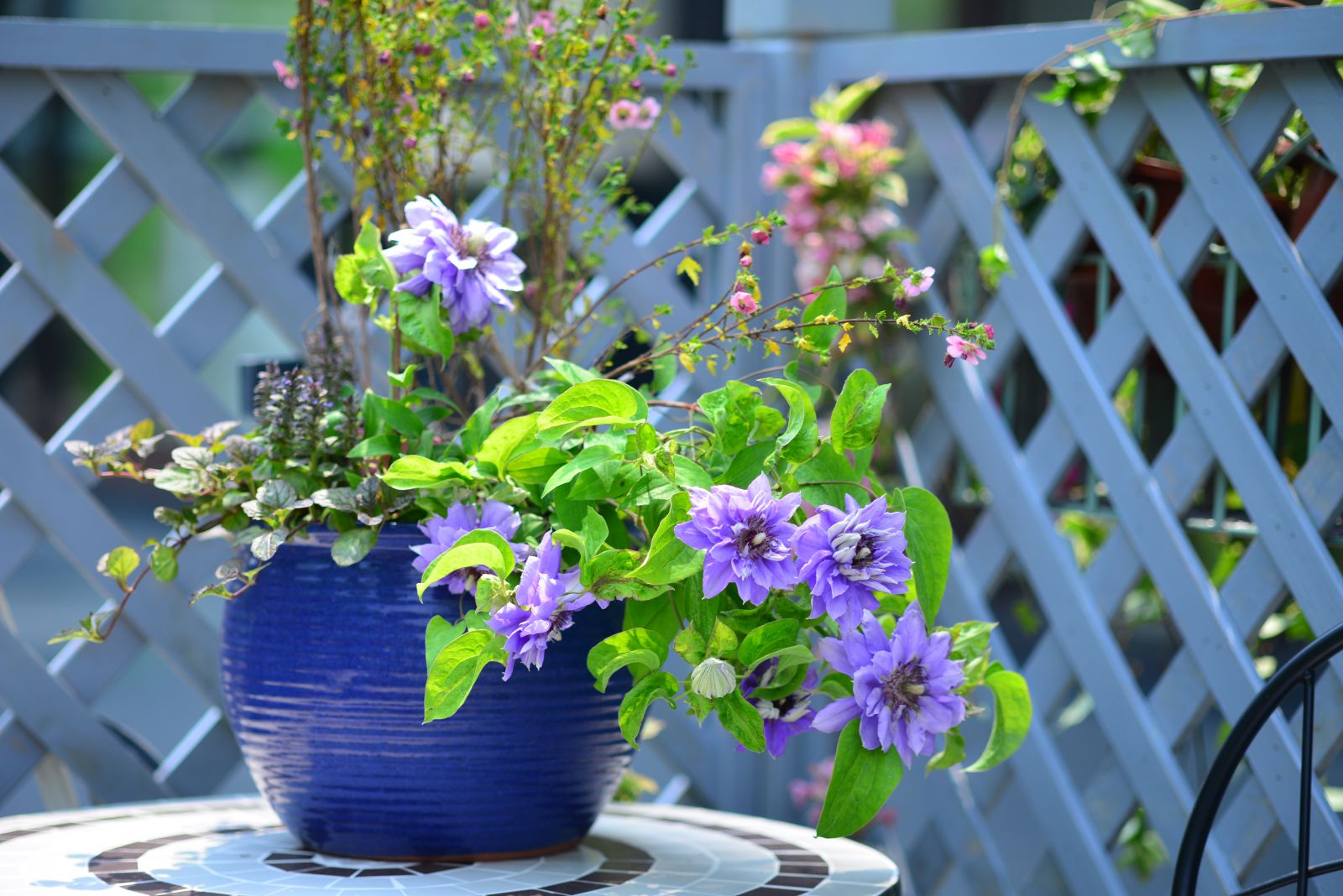 億朵園藝微花展作品榮登2016設(shè)計(jì)之都創(chuàng)意推薦榜