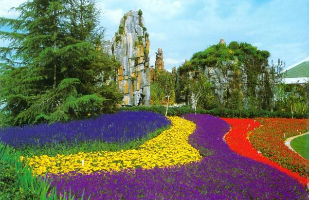 植物造景之觀賞草