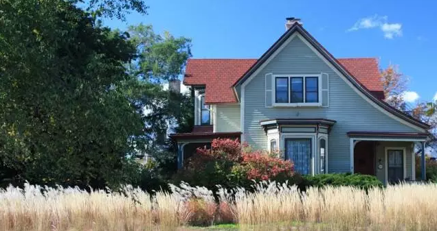 植物造景之觀賞草