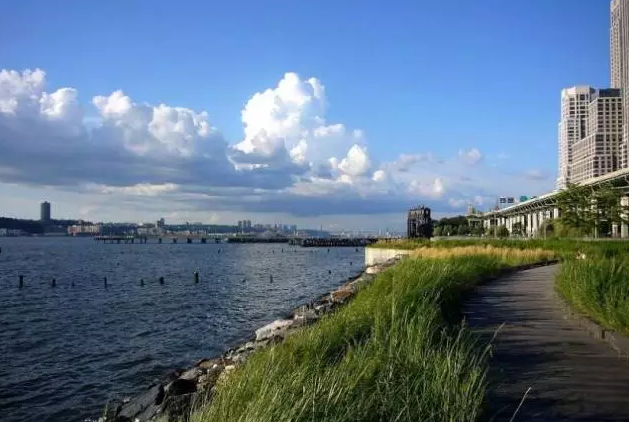 植物造景之觀賞草