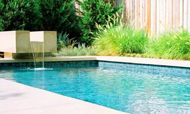 植物造景之觀賞草