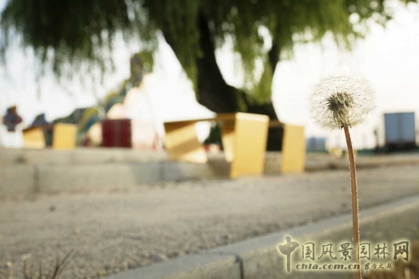 9月23號頭條:意大利綠色廣場項(xiàng)目賞析