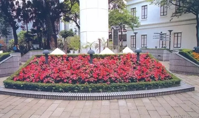 萬科居住區景觀植物設計要點