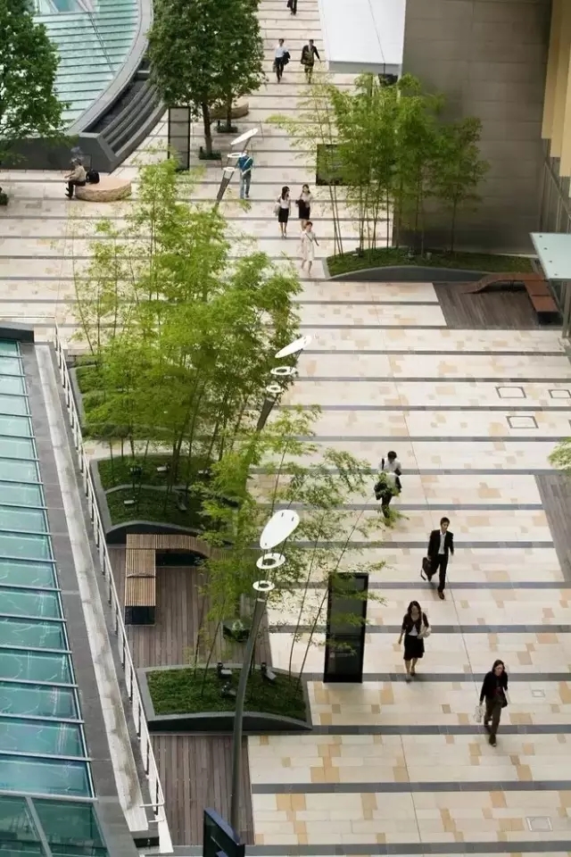 景觀植物分類型配置標(biāo)準(zhǔn)化