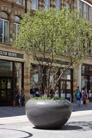 樹池和坐凳的完美組合