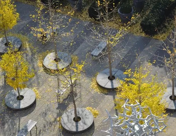 樹池和坐凳的完美組合