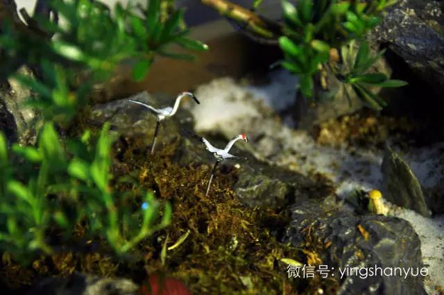 墨爻盆景作品:春之寄盼 恰似眼前——春靄曉色