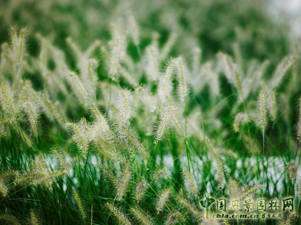 9月30頭條：索林根市政廣場項目賞析