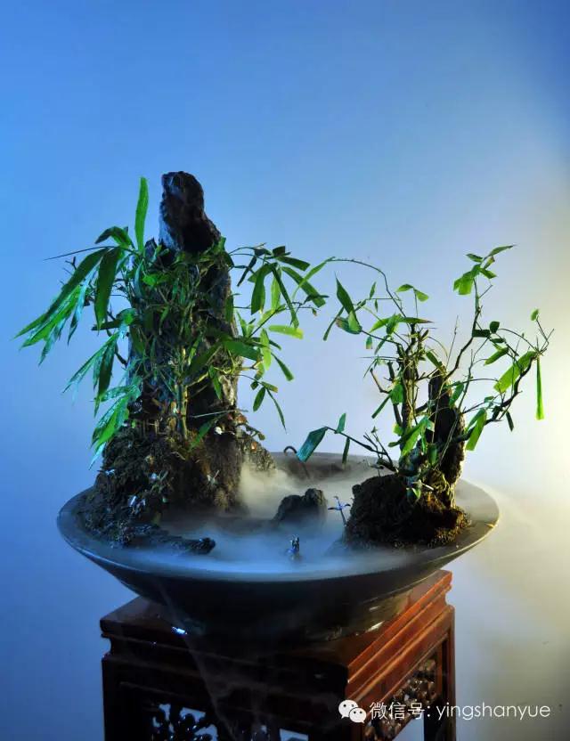 墨爻盆景作品：家鄉美景——《漢上夢溪》