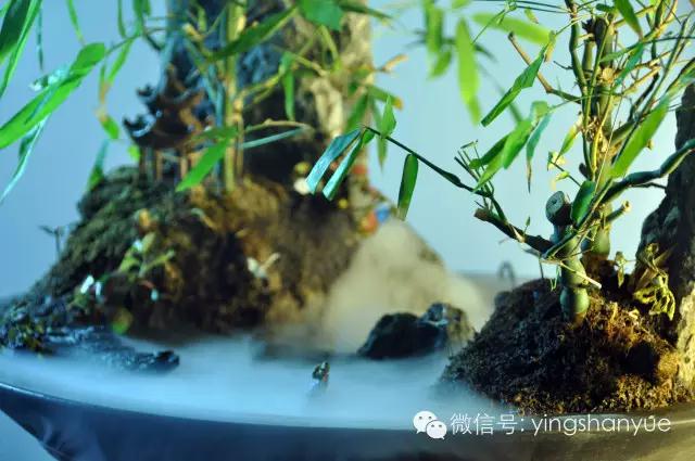 墨爻盆景作品：家鄉(xiāng)美景——《漢上夢(mèng)溪》