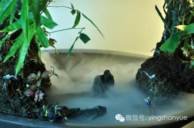 墨爻盆景作品:家鄉美景——《漢上夢溪》