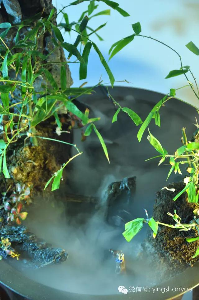 墨爻盆景作品:家鄉美景——《漢上夢溪》