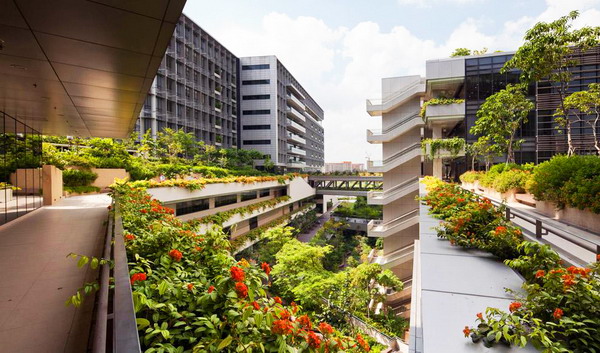 第十五場園冶講壇(桂林理工站)直播