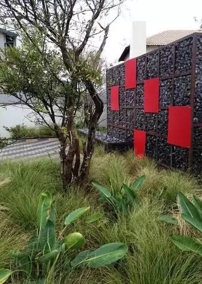 石籠與植物搭配大全