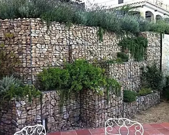 石籠與植物搭配大全