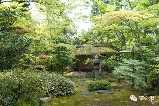 連接“俗世”與“茶道”的通道——露地