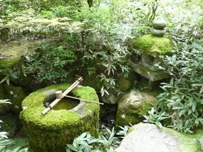 連接“俗世”與“茶道”的通道——露地