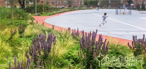 【9月22日頭條】荷蘭“荒野生存”兒童游樂場景觀設計