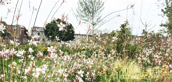 【9月22日頭條】荷蘭“荒野生存”兒童游樂場景觀設計