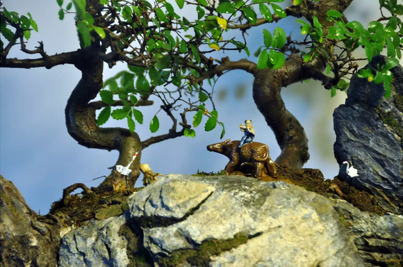 墨爻盆景作品：古樹寒溪，牧童歸去——《雙榆溪隱》