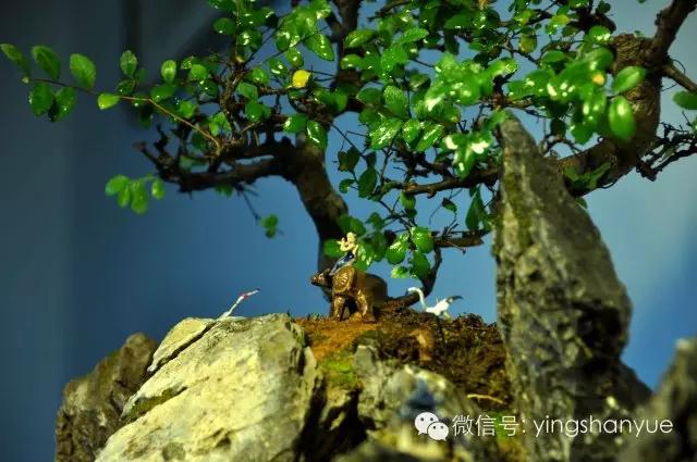 墨爻盆景作品：古樹寒溪，牧童歸去——《雙榆溪隱》