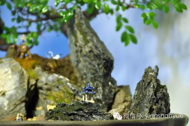 墨爻盆景作品：古樹寒溪，牧童歸去——《雙榆溪隱》