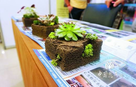 立體綠化新材料———生物保水磚 