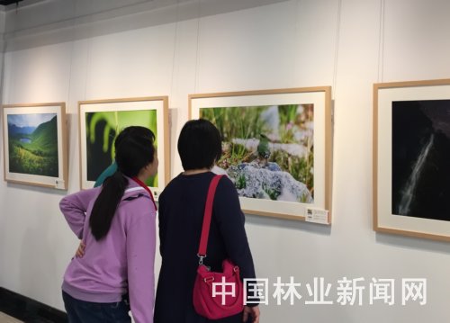 云南怒江生物多樣性攝影展開展