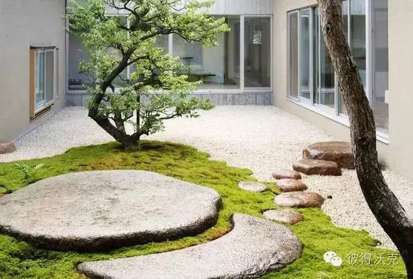 日式園林中的樹