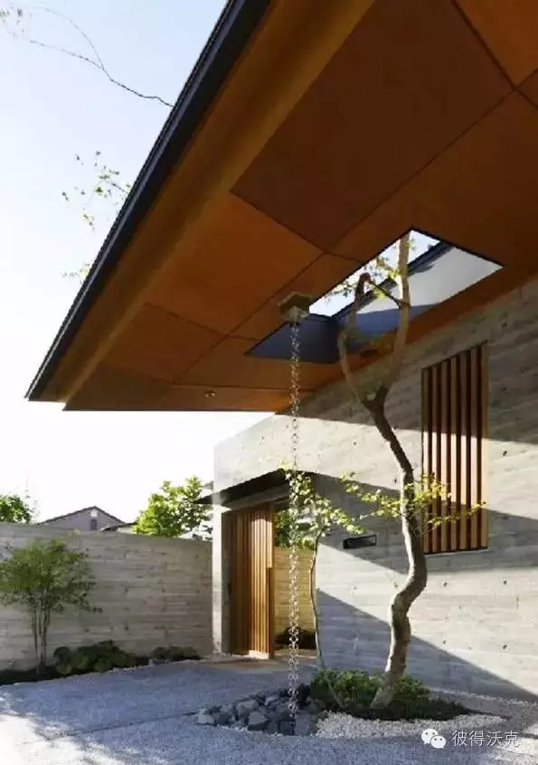 日式園林中的樹